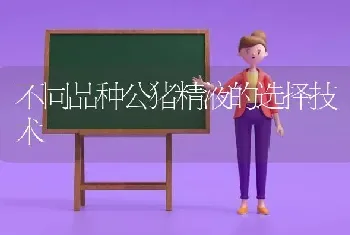 不同品种公猪精液的选择技术