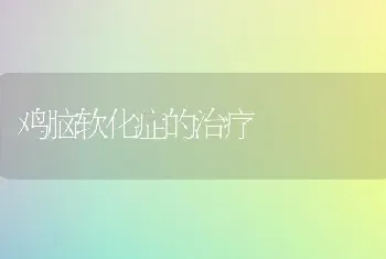 鸡脑软化症的治疗