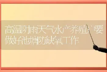 高温阴雨天气水产养殖户要做好池塘防缺氧工作