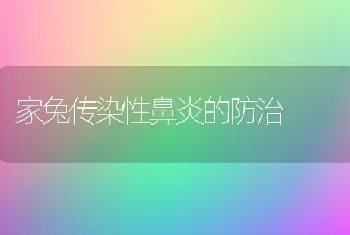 家兔传染性鼻炎的防治