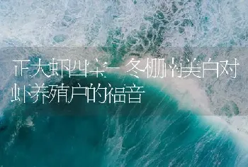 正大虾四宝-冬棚南美白对虾养殖户的福音