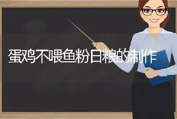 蛋鸡不喂鱼粉日粮的制作