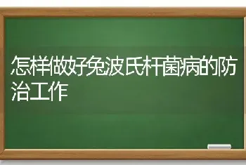 怎样做好兔波氏杆菌病的防治工作