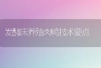 发酵床养殖肉鸭技术要点