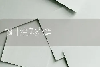 橘叶治兔疥癣