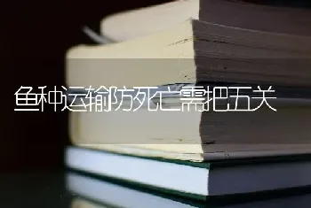 鱼种运输防死亡需把五关