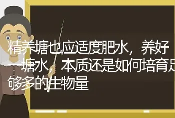 精养塘也应适度肥水,养好一塘水,本质还是如何培育足够多的生物量