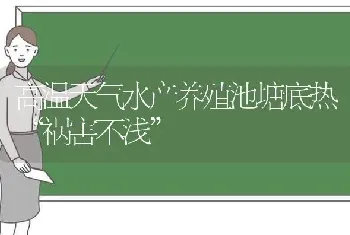 高温天气水产养殖池塘底热“祸害不浅”