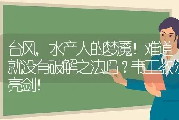 台风,水产人的梦魇！难道就没有破解之法吗?韦工教你亮剑！