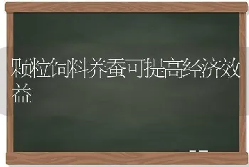 颗粒饲料养蚕可提高经济效益