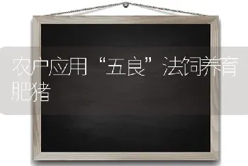 农户应用“五良”法饲养育肥猪