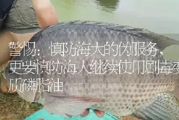 警惕：慎防海大的伪服务,更要慎防海大继续使用剧毒变质磷脂油