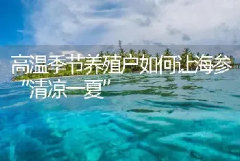 高温季节养殖户如何让海参“清凉一夏”