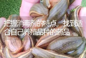 把握消毒剂的特点,找到适合自己养殖品种的药品