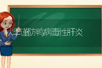 秋季谨防鸭病毒性肝炎