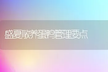 盛夏散养蛋鸭管理要点