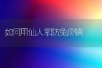 如何用仙人掌防兔疥螨