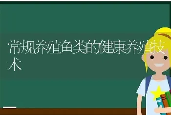 常规养殖鱼类的健康养殖技术