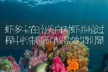 虾多宝在南美白对虾养殖过程中控制亚硝酸盐效果明显