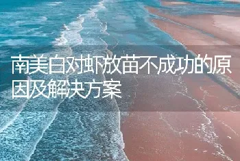 南美白对虾放苗不成功的原因及解决方案