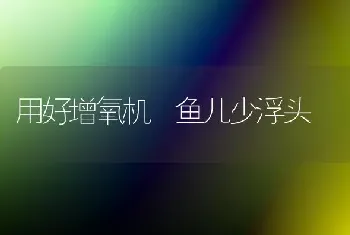 用好增氧机 鱼儿少浮头