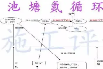 水产养殖户如何判断池塘底质质量的好坏?如何科学改底?