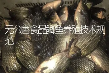 无公害食品鲫鱼养殖技术规范