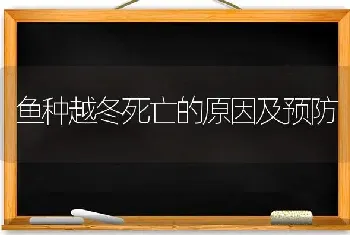 鱼种越冬死亡的原因及预防