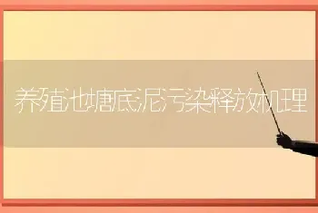 养殖池塘底泥污染释放机理