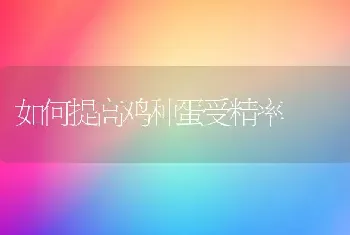 如何提高鸡种蛋受精率