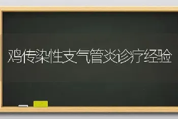 鸡传染性支气管炎诊疗经验