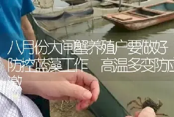 八月份大闸蟹养殖户要做好防控蓝藻工作 高温多变防应激