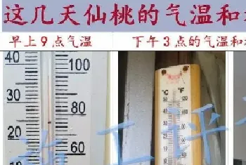 全国大面积高温天气,光照太长太强,池塘死藻多发的问题怎么解决?