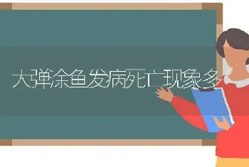 大弹涂鱼发病死亡现象多