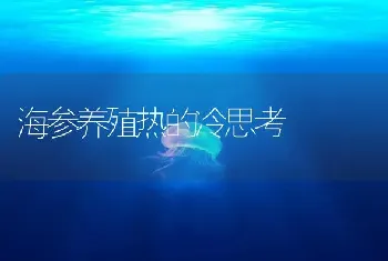 海参养殖热的冷思考