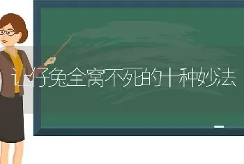 让仔兔全窝不死的十种妙法