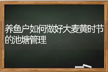 养鱼户如何做好大麦黄时节的池塘管理