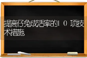 提高仔兔成活率的10项技术措施