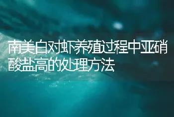 南美白对虾养殖过程中亚硝酸盐高的处理方法