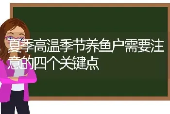 夏季高温季节养鱼户需要注意的四个关键点