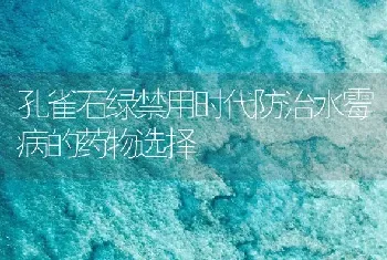 孔雀石绿禁用时代防治水霉病的药物选择