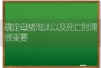 确定母猪淘汰以及死亡时间很重要