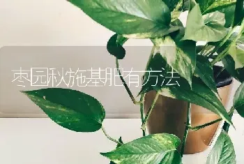 天热鸡痘多发如何预防和治疗