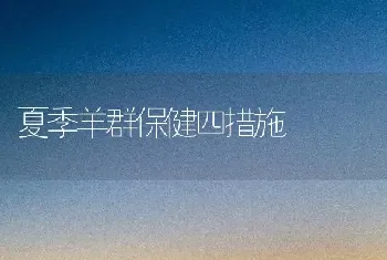 夏季羊群保健四措施