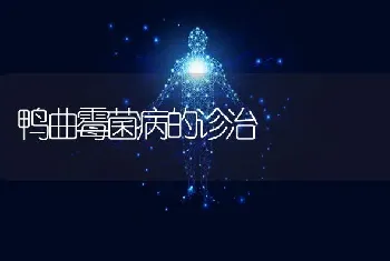 鸭曲霉菌病的诊治