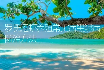 罗氏沼虾养殖常见病黑鳃病防治方法