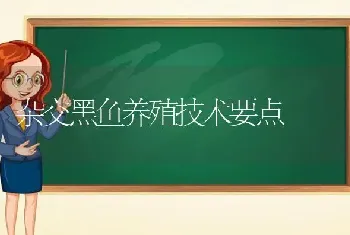 杂交黑鱼养殖技术要点