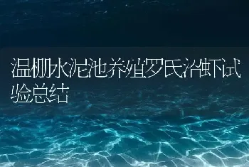 温棚水泥池养殖罗氏沼虾试验总结