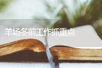 羊场冬前工作抓重点