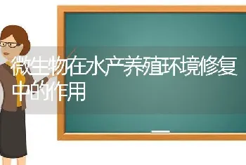 微生物在水产养殖环境修复中的作用